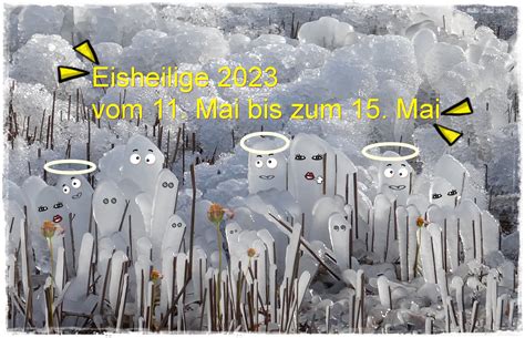 eisheiligen 2023 frost